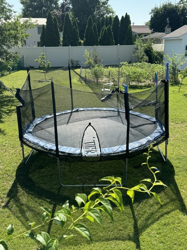 trampoline