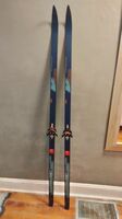195 cm L.L.BEAN WINTERSPORT Crown Waxless Cross Country Skis