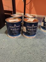 Ben Moore Regal Select White Paint