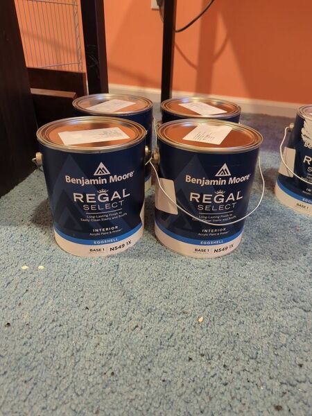 Ben Moore Regal Select White Paint