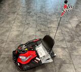 Razor Crazy Cart