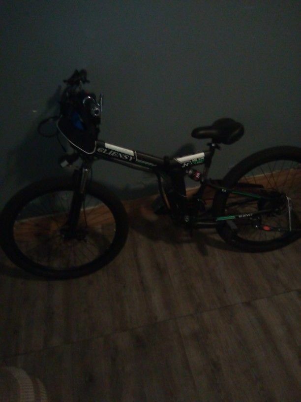 E Bike Mx350