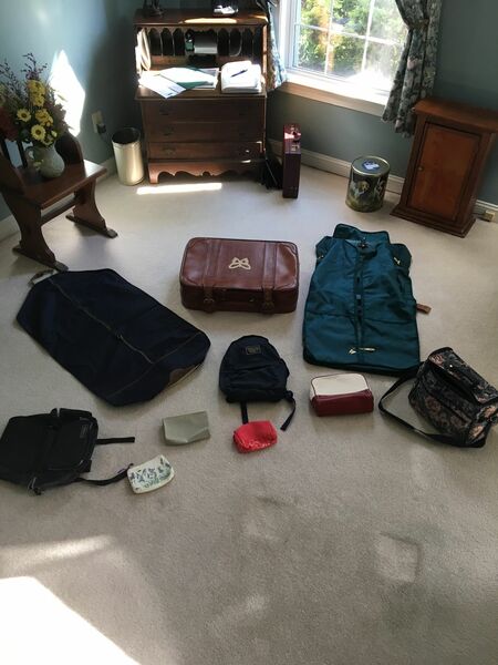 Travel bags, lot of 10, 1 medium suitcase, 2 garment bags, 1 carry on bag, 2 backpacks, 4 cosmetics bags, good to new condition