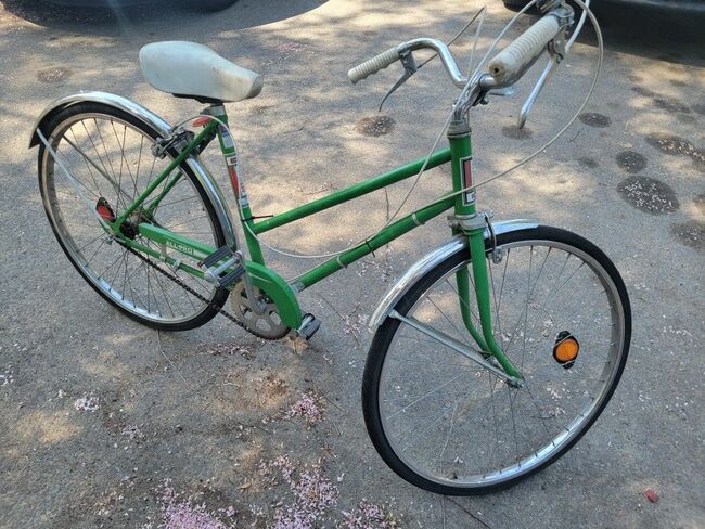 Vintage Cruiser Bicycle