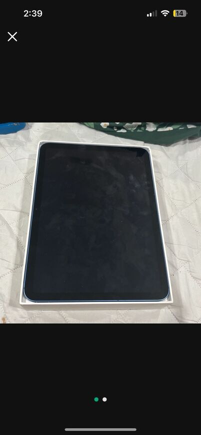 Pink iPad 10th Gen $350