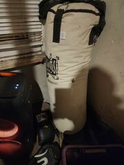 Punching Bag With Gloves