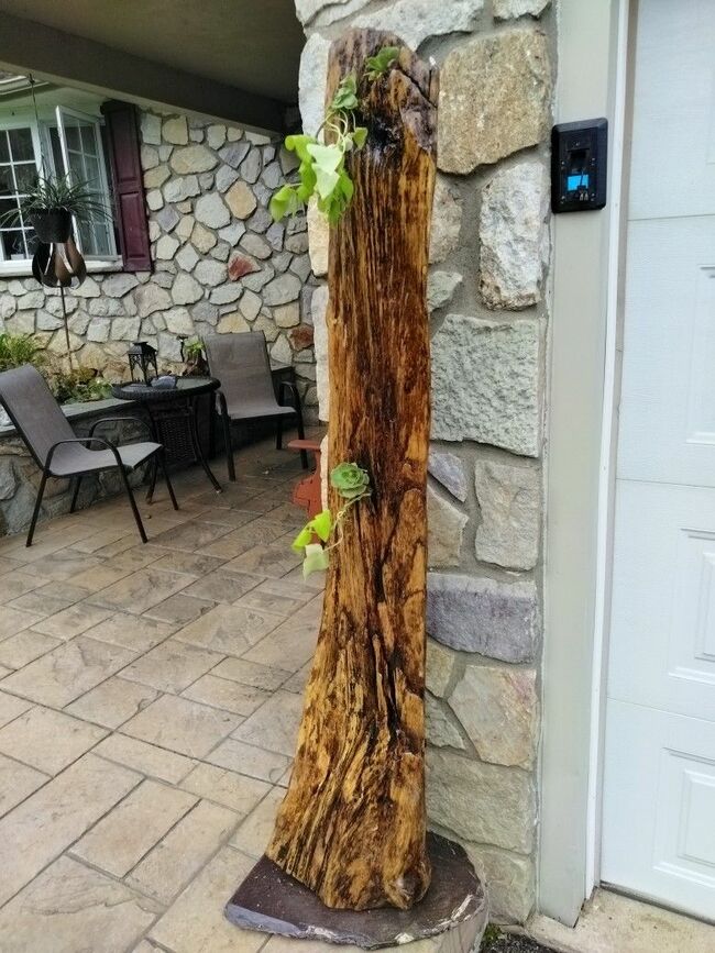 Driftwood Planter