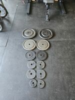 195lbs of Standard Weight plates