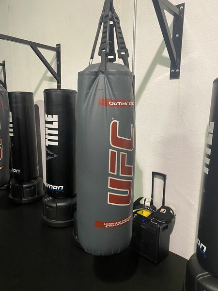 UFC Boxing Punching Bag