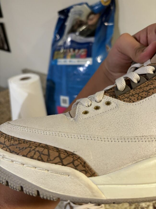 palomino 3s