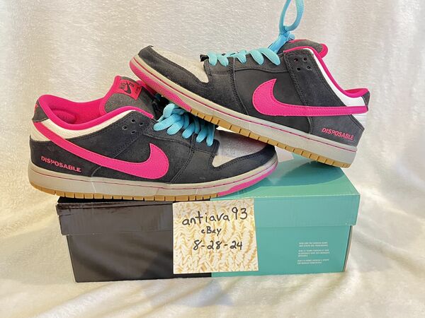 Nike Dunk Low QS Disposable SB Sz. 9.5M