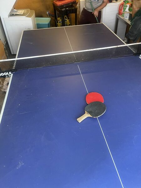 Ping Pong Table