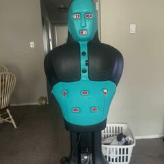 punching dummy