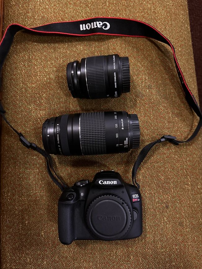 Canon EOS Rebel T6 And  T7DSLR Camera