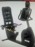 Spirit Recumbent Bike
