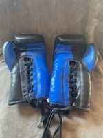 14oz Pro Boxing Gloves (Tie Ups)