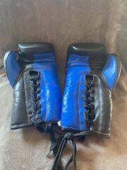 14oz Pro Boxing Gloves (Tie Ups)