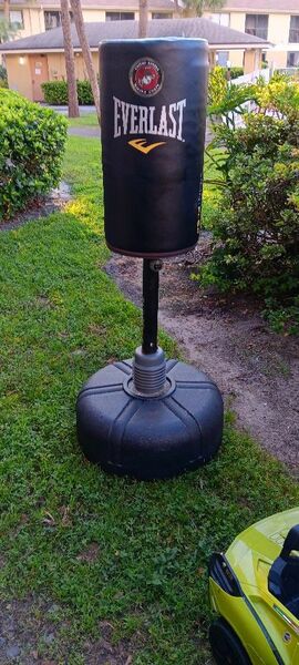 MMA EVERLAST PUNCHING STAND
