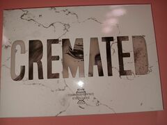 Jeffrey Star Cremated Palette