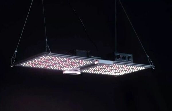 Samsung LM301h EVO Chips LED Grow Light The Next GENERATION