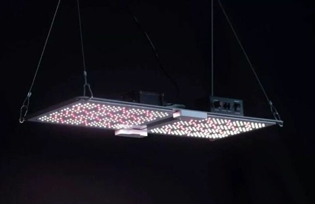 Samsung LM301h EVO Chips LED Grow Light The Next GENERATION