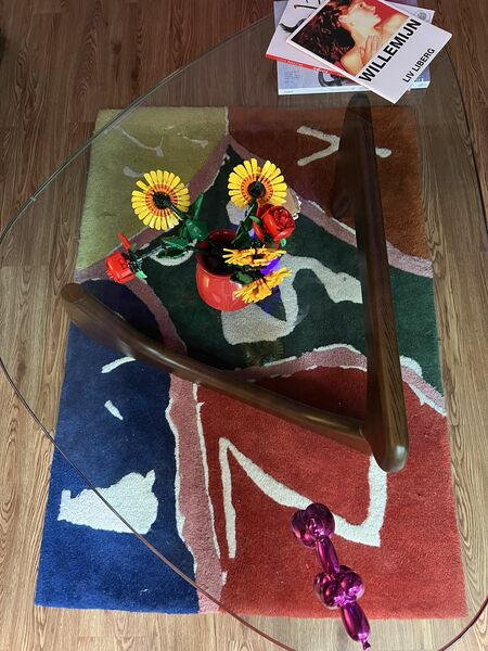Proba Home Multi Colored Rug