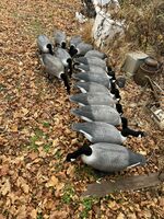 Goose Decoys
