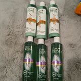 Dove Shampoo & Conditioner + Gillette Razors