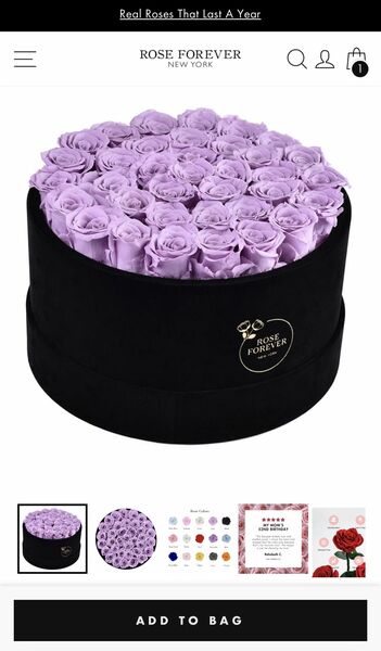 Rose Forever New York