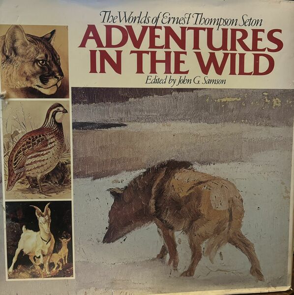 Adventures in the Wild by Ernest Thompson Seton