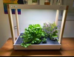 Rise Gardens Personal Rise Garden Hydroponic Indoor Garden Ki