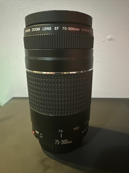 Canon Rebel T6 With 18-55mm And 75-300mm Lens