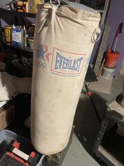 Everlast Heavy Punching Bag
