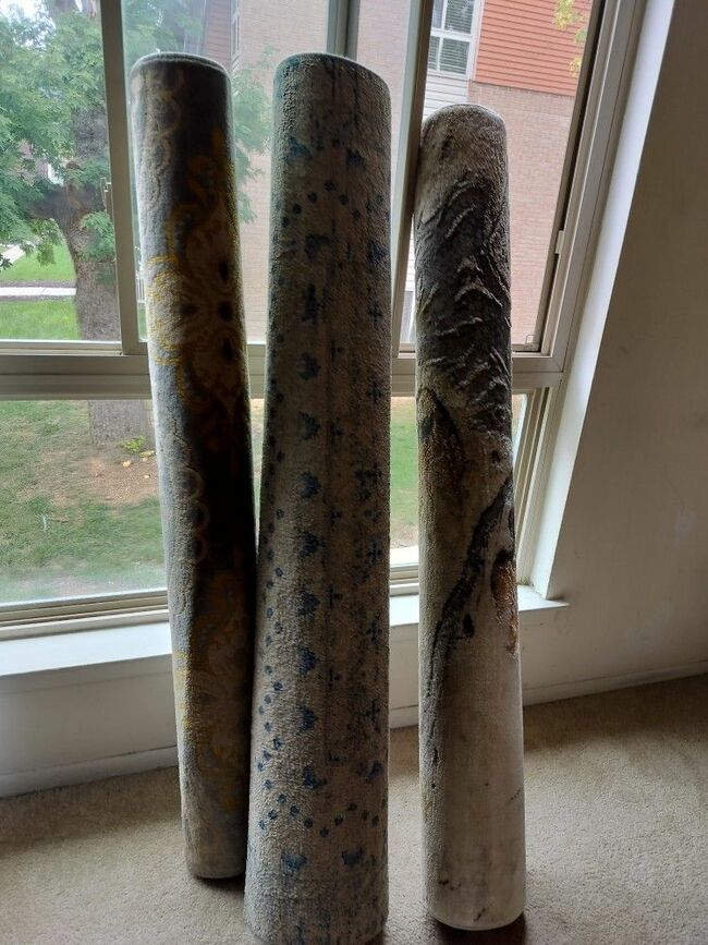 3 Area Rugs See Pictures All Are 5x7--- $40 Per Rug