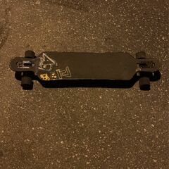 Z-flex Skateboard