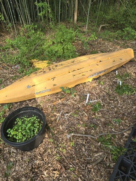 2 Kayaks For Sale