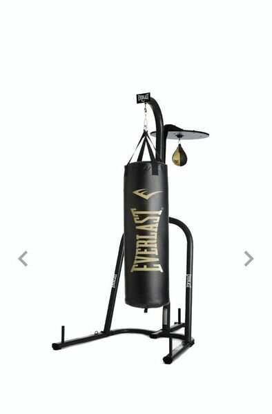 Everlast Powercore Dual Bag and Stand