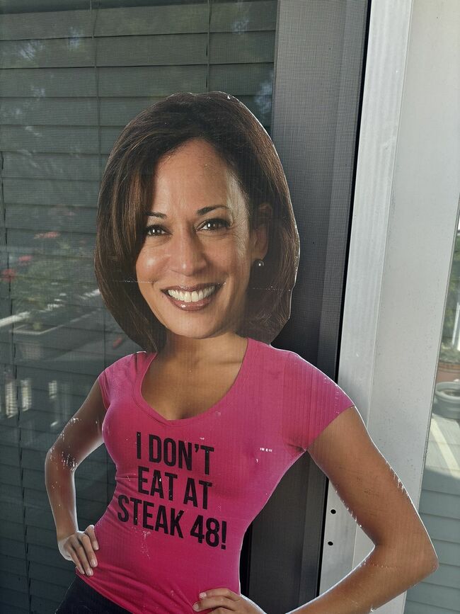 Kamala Harris Life Size Cutout
