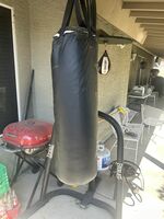 Everlast Powercore Dual Bag and Stand