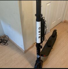 Bird E Scooter