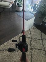 Shimano SLX Reel With Abu Garcia Ez Cast Poll