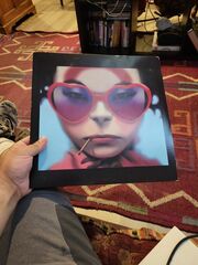 Pristine Condition Gorillaz And Sublime Vinyl Records