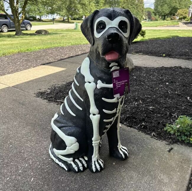 Black Lab Halloween Dog Blow Mold Labrador 2.5 Ft Glow in Dark