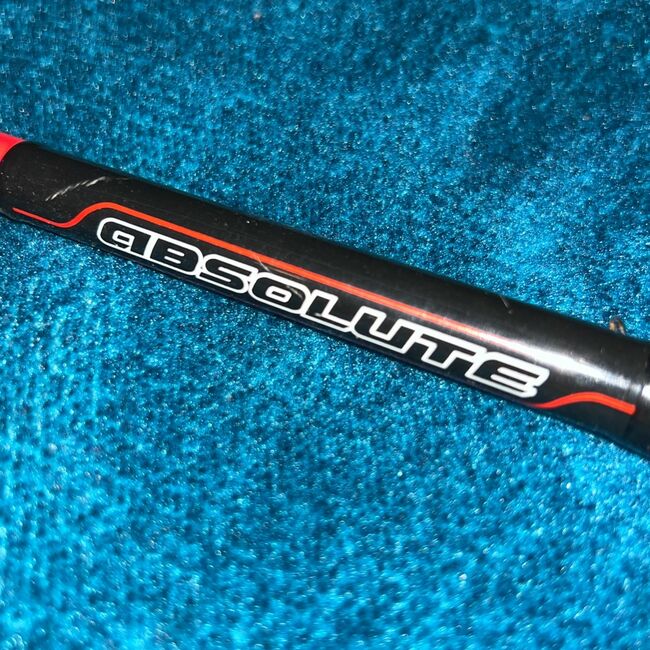 Favorite Absolute Fishing Rod