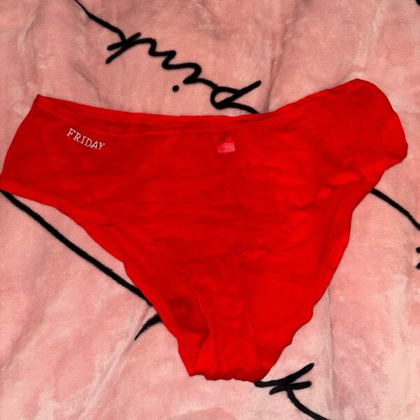 Parade Friday Embroidery Mesh Panties XL