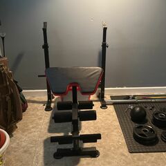 Bench Leg Extensions And Bicep Curls All In One