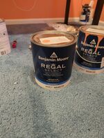 Benjamin Moore Regal Select Peach Paint