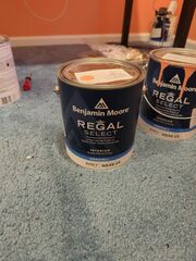 Benjamin Moore Regal Select Peach Paint