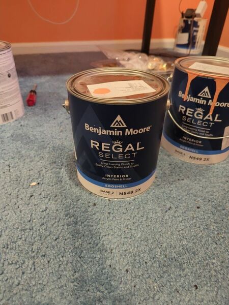 Benjamin Moore Regal Select Peach Paint