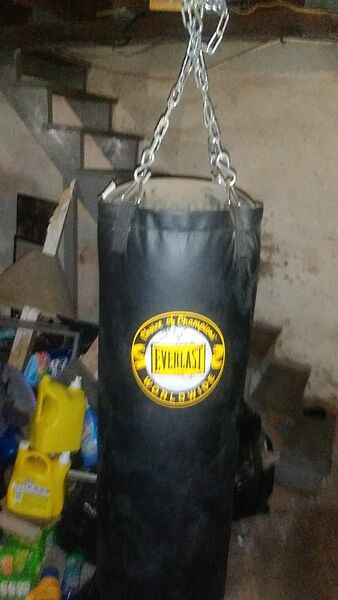 Punching bag for sale